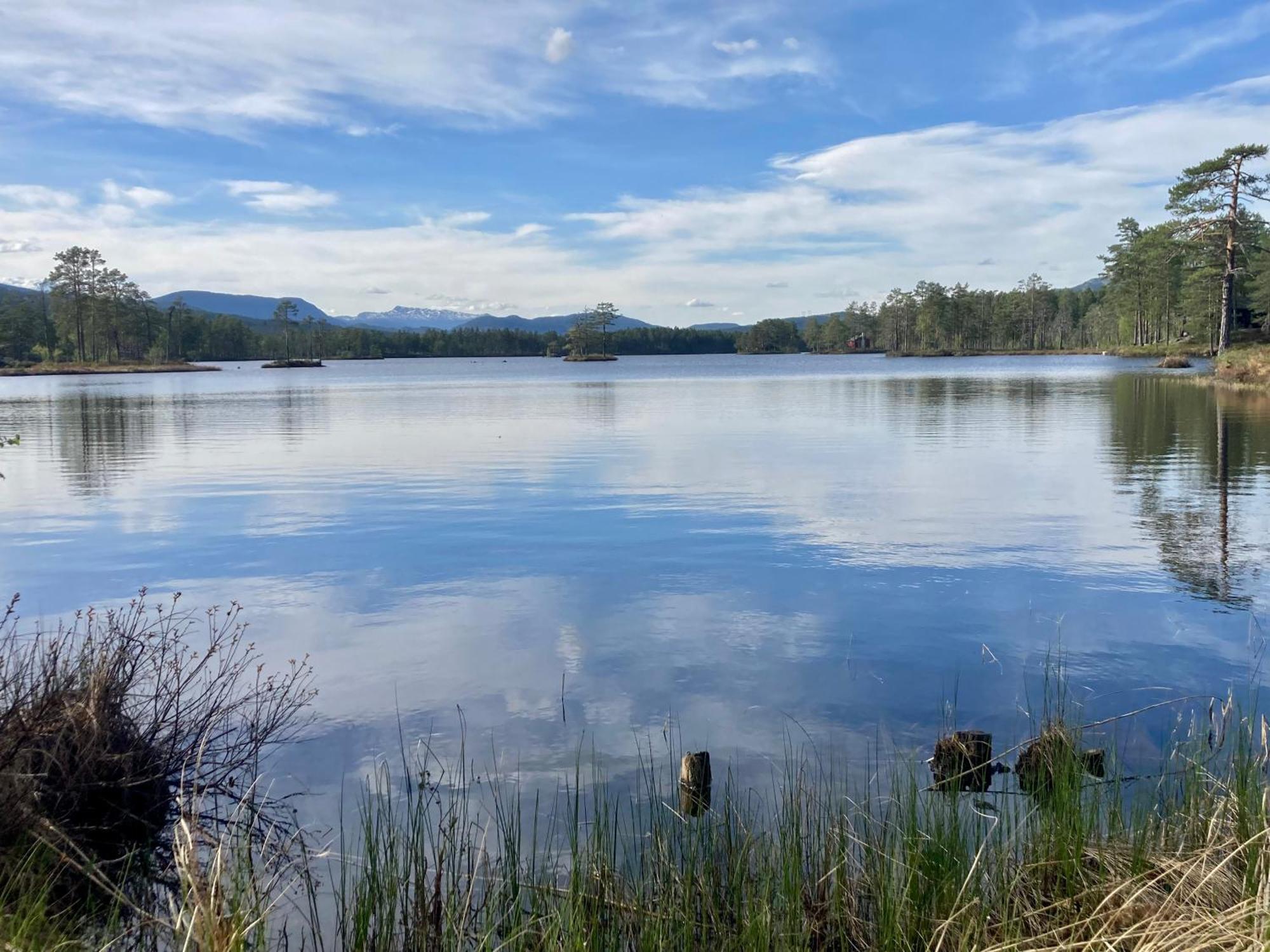Friheten! Notodden Bagian luar foto