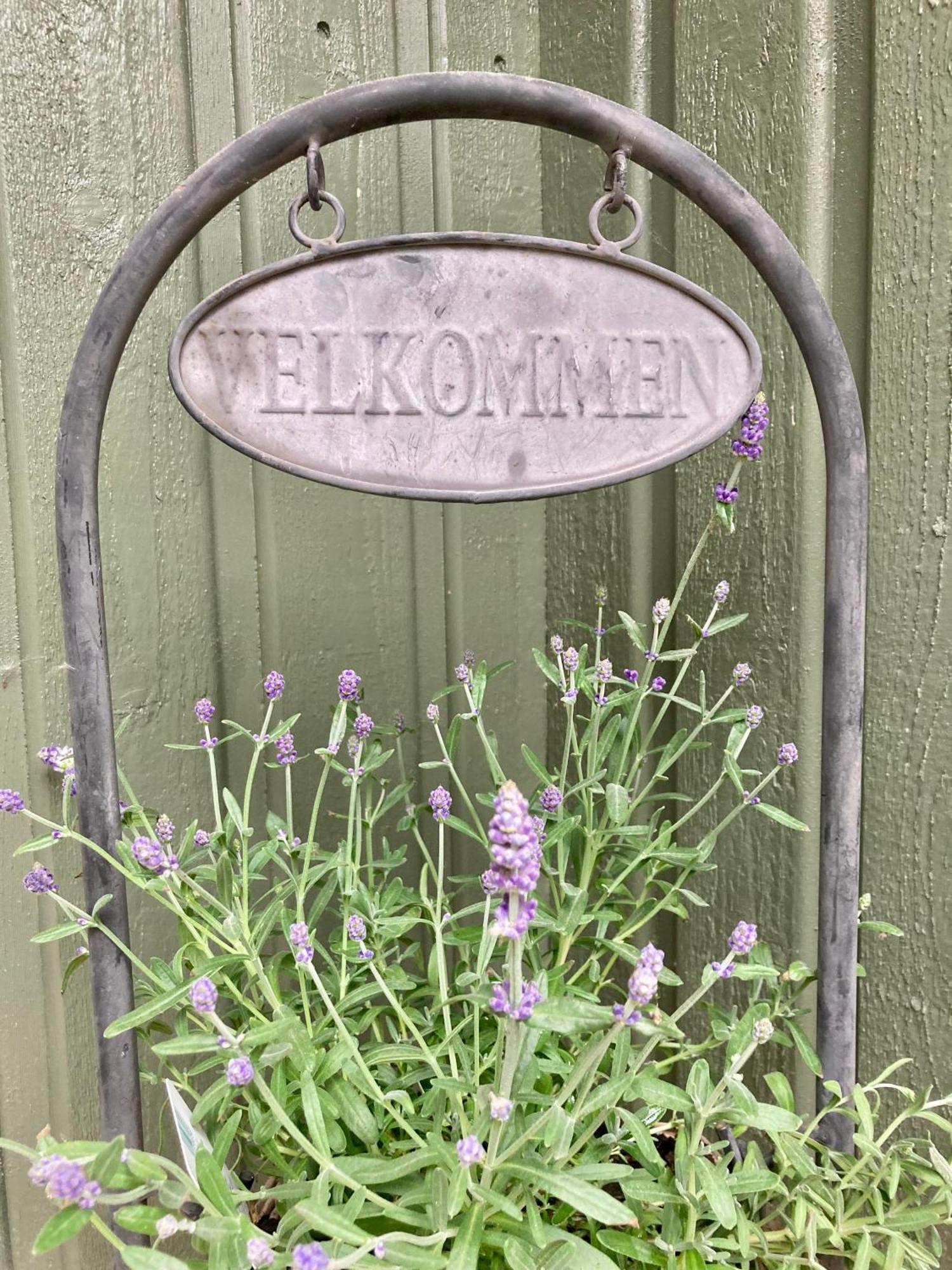 Friheten! Notodden Bagian luar foto