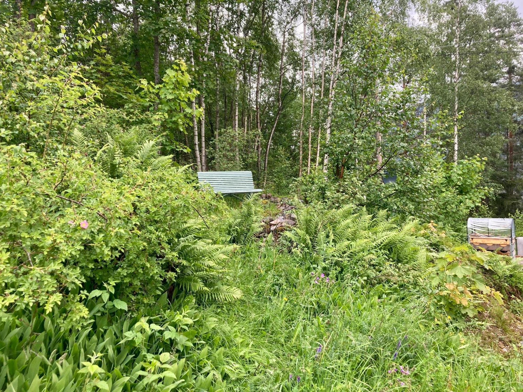 Friheten! Notodden Bagian luar foto